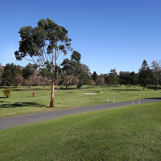 Marrickville Golf Course view